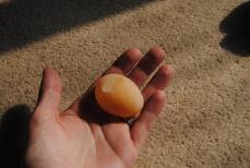 En av mina höns första ägg.