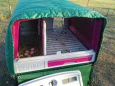 Tillgång till ägg och bohålor genom värmetäcke