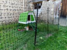 Ett hönsstängsel i en trädgård som omger ett grönt hönshus