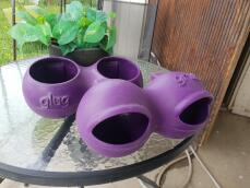 Glug & Grub purple