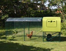Grönt Eglu Cube hönshus med löpning och klart skydd med en kyckling i löpningen