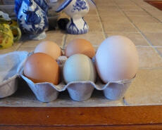 6 ägg i en ägglåda
