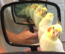Sammy är blind, men han ler i spegeln