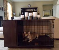 Hunden bosswell i en valnöt Fido Studio med en garderob i ett vardagsrum