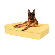 Hund som sitter på mellow yellow stora minnesskum bolster hund säng