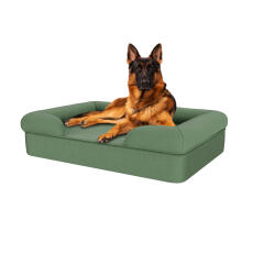 Hund sitter på salvia grönt stort minne skum bolster hund säng