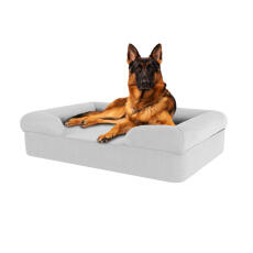 Hund som sitter på sten grå stor skumgummibolster för hund säng med minnesskum