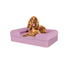 Hund sitter på lavendel lila medium memory foam bolster hund säng