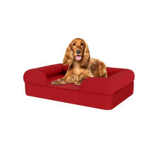 Hund sitter på medium merlot röd memory foam bolster hund säng