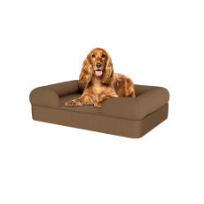 Hund sitter på medium mocha brun minnesskum bolster hund säng