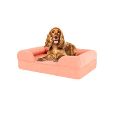 Hund sitter på medium persika rosa memory foam bolster hund säng