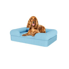 Hund sitter på medium sky blue memory foam bolster hund säng