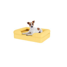 Hund sitter på liten mellow yellow memory foam bolster hund säng