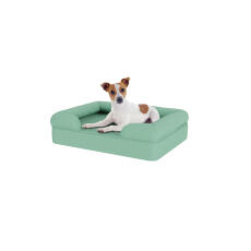 Hund sitter på liten teal blå memory foam bolster hund säng