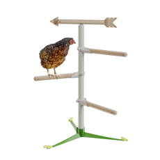 Kyckling i det fristående perch-systemet