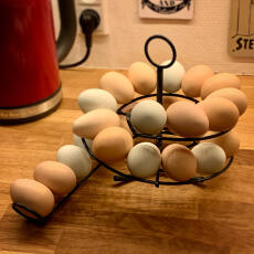 ägg på svart Omlet äggskelter