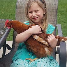 Flicka som håller en kyckling