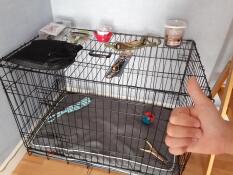 En hundkorg som är redo att användas