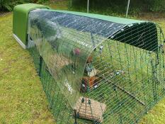 Chewie och hennes combi cover