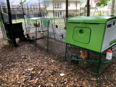 Omlet grönt Eglu Cube stort hönshus och utedass