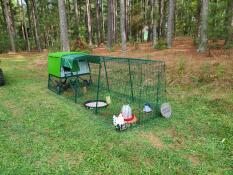 Ett hönshus med en 3 meter lång löpning i utkanten av en skog