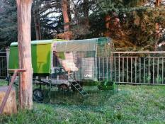 Grönt stort Cube hönshus med en hönsgård