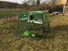 Grönt Eglu Cube stort hönshus och springgård i trädgården
