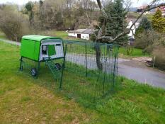 Grönt Eglu Cube stort hönshus och springgård för höns