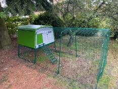 Grönt Eglu Cube stort hönshus och springgård för höns
