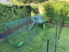 Ett Eglu Cube hönshus med en egentillverkad ramp.