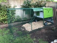 Ett stort Eglu Cube hönshus med barkspån under.