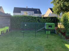 Ett Eglu Cube hönshus med en egentillverkad ramp.