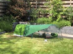 Ett grönt hönshus och en grön hönsgård med skydd i en trädgård