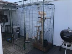 En Omlet utomhuskattbana / catio komplett med klätterträd för katter.