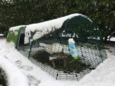 Vår hage Eglu Go under snön