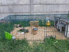 Omlet Zippi lekpark