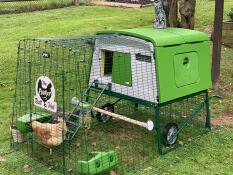 Eglu Cube med automatisk dörr