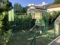 Omlet grönt Eglu Cube stort hönshus i Omlet hönsgård i trädgården