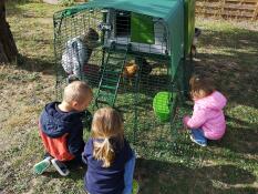 Barn som tittar på sina höns i en grön miljö Omlet Eglu Cube stort hönshus och springa