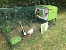 En Omlet Eglu Cube med en automatisk dörr på sidan av körbanan.