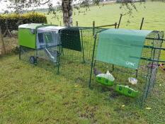 Cube stort hönshus med en springa i en trädgård