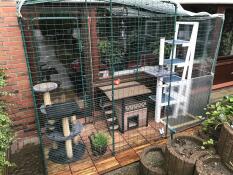 Omlet catio