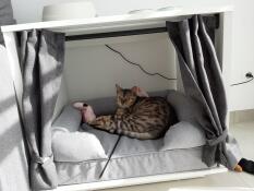 Maya Nook med en bädd inuti med en katt som sover på den.