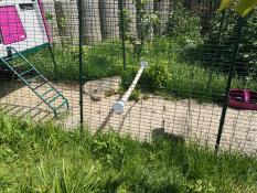 Omlet lila Eglu Cube stort hönshus och springgård med Omlet universell hönsställning
