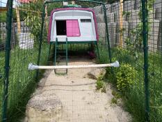 Omlet lila Eglu Cube stort hönshus och springgård med Omlet universell hönsställning