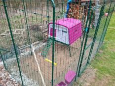Lila Omlet Eglu Cube stort hönshus inuti Omlet hönsgård för att gå in i en hönsgård