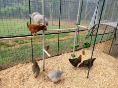 Chickie lekplats!