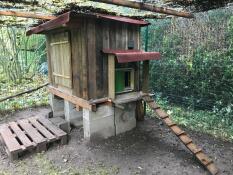 Omlet grön automatisk dörr till hönsgård som är fäst vid en hönsgård i trä