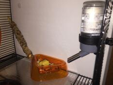 Matskålen och vattenflaskan i en bur för Qute hamster och gerbil.