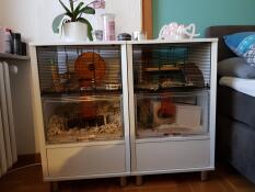 Två vita Omlet Qute hamsterburar
